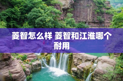 菱智怎么样 菱智和江淮哪个耐用 菱智怎么样 菱智和江淮哪个耐用
