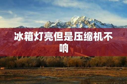 冰箱灯亮但是压缩机不响:故障原因及解决方法 冰箱灯亮但是压缩机不响:故障原因及解决方法