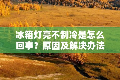 冰箱灯亮不制冷是怎么回事？原因及解决办法