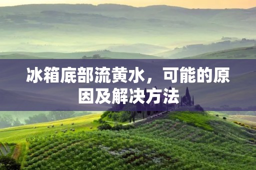 冰箱底部流黄水,可能的原因及解决方法 冰箱底部流黄水,可能的原因及解决方法