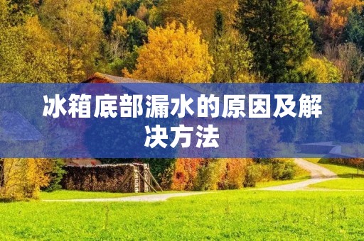冰箱底部漏水的原因及解决方法 冰箱底部漏水的原因及解决方法