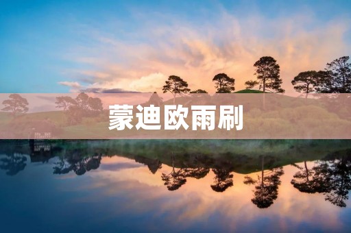 蒙迪欧雨刷：提供清晰视野的必备装备