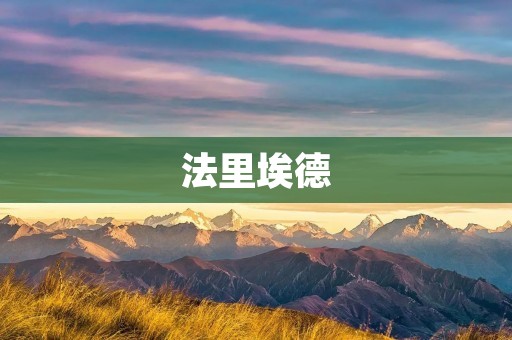 法里埃德：塞内加尔的奇迹之城