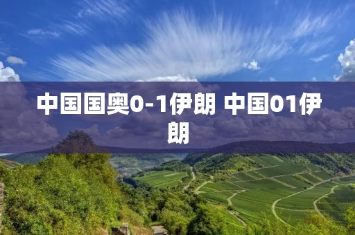 中国国奥0-1伊朗 中国01伊朗