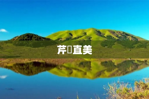 芹沢直美:音乐界的璀璨明星