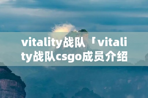 vitality战队「vitality战队csgo成员介绍」
