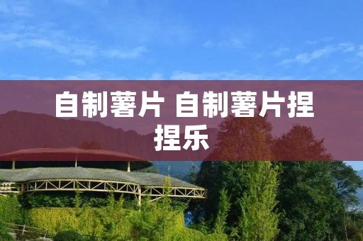 自制薯片 自制薯片捏捏乐