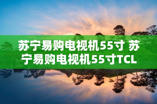 苏宁易购电视机55寸 苏宁易购电视机55寸TCL