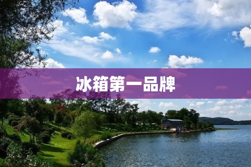 冰箱第一品牌：谁是王者？