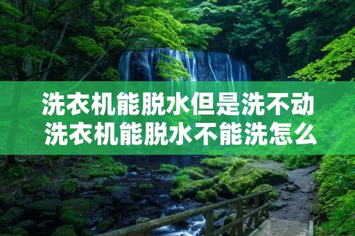 洗衣机能脱水但是洗不动 洗衣机能脱水不能洗怎么回事