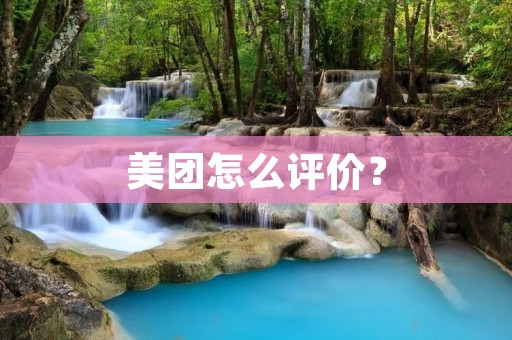 美团怎么评价？