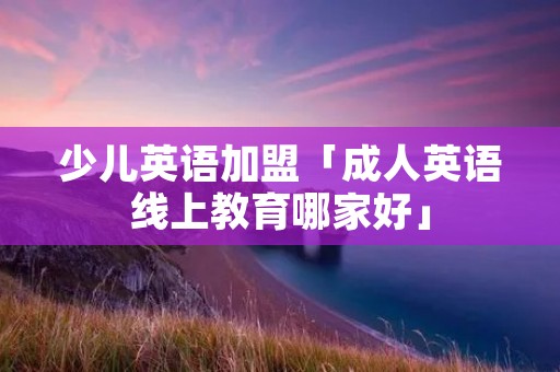 少儿英语加盟「成人英语线上教育哪家好」 少儿英语加盟「成人英语线上教育哪家好」