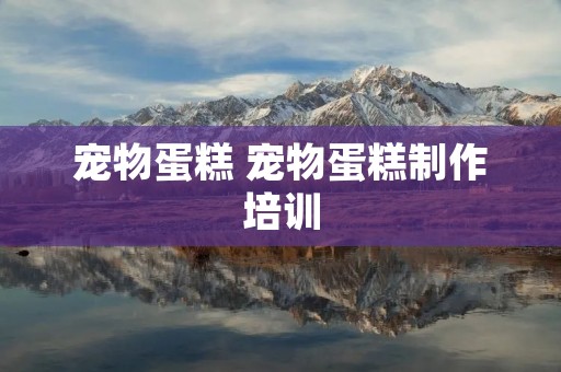 宠物蛋糕 宠物蛋糕制作培训