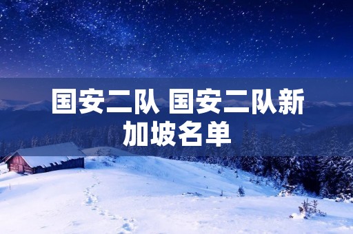 国安二队 国安二队新加坡名单