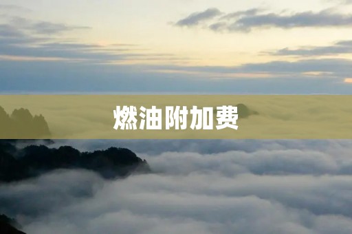 燃油附加费：航空公司的争议性费用