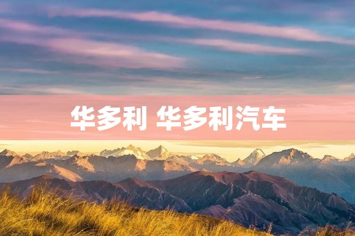 华多利 华多利汽车 华多利 华多利汽车