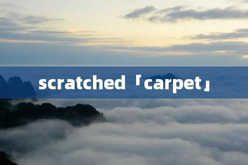 scratched「carpet」