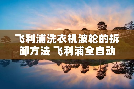 飞利浦洗衣机波轮的拆卸方法 飞利浦全自动洗衣机的拆装
