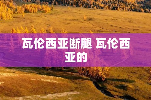 瓦伦西亚断腿 瓦伦西亚的