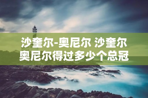 沙奎尔-奥尼尔 沙奎尔奥尼尔得过多少个总冠军?