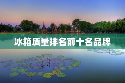 冰箱质量排名前十名品牌：质量保证与品牌领先的冰箱制造商