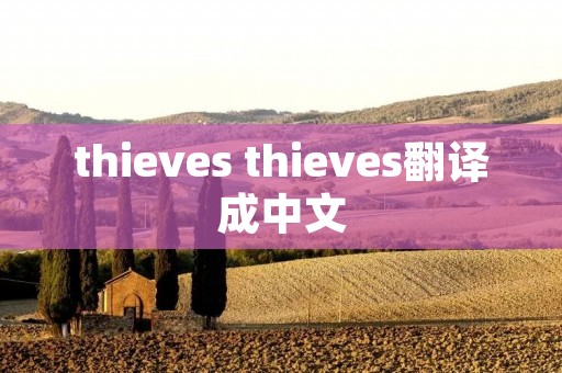 thieves thieves翻译成中文
