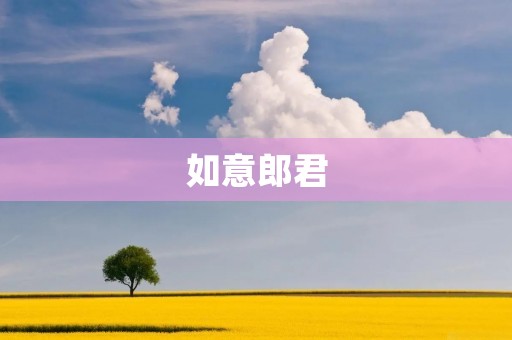 如意郎君:一位卓越的文化传承者