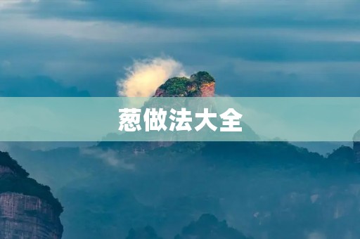 葱做法大全:丰富口味,营养满满 葱做法大全:丰富口味,营养满满