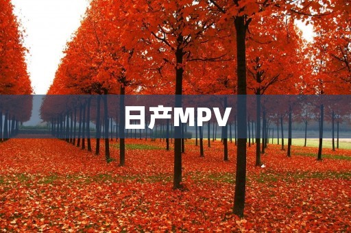 日产MPV:家庭出行的理想选择 日产MPV:家庭出行的理想选择