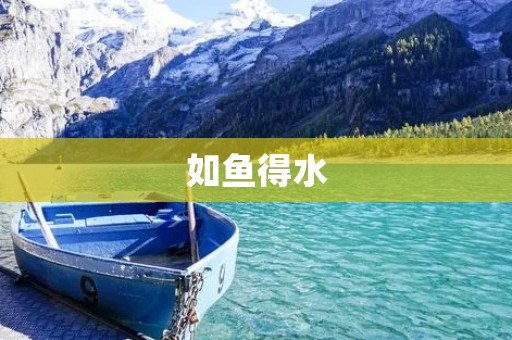如鱼得水:追寻内心的归属