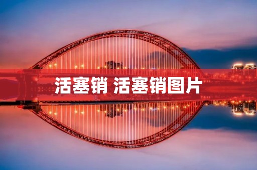 活塞销 活塞销图片