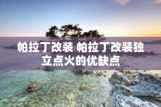 帕拉丁改装 帕拉丁改装独立点火的优缺点 帕拉丁改装 帕拉丁改装独立点火的优缺点