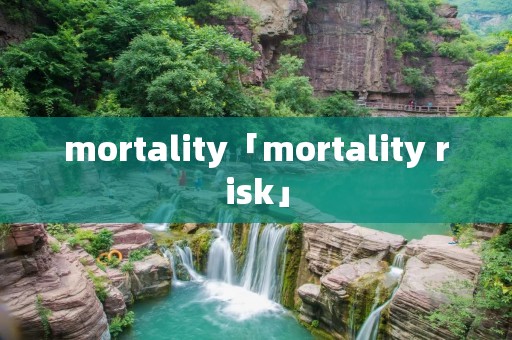 mortality「mortality risk」