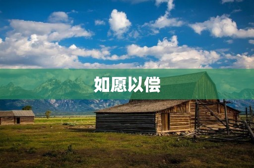 如愿以偿:一个人的努力与梦想