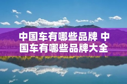 中国车有哪些品牌 中国车有哪些品牌大全 中国车有哪些品牌 中国车有哪些品牌大全