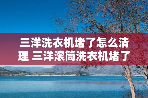 三洋洗衣机堵了怎么清理 三洋滚筒洗衣机堵了如何拆解 三洋洗衣机堵了怎么清理 三洋滚筒洗衣机堵了如何拆解