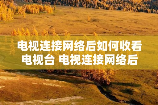 电视连接网络后如何收看电视台 电视连接网络后怎么看电视 电视连接网络后如何收看电视台 电视连接网络后怎么看电视
