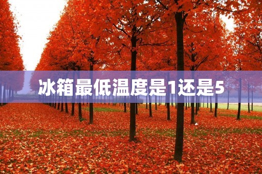 冰箱最低温度是1还是5:解析冷藏设备的温度设置 冰箱最低温度是1还是5:解析冷藏设备的温度设置