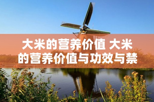 大米的营养价值 大米的营养价值与功效与禁忌