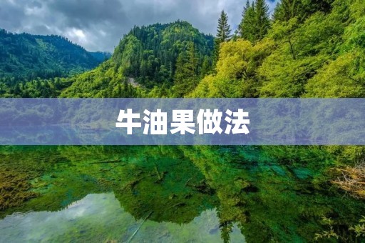 牛油果做法：美味与营养并存的佳果
