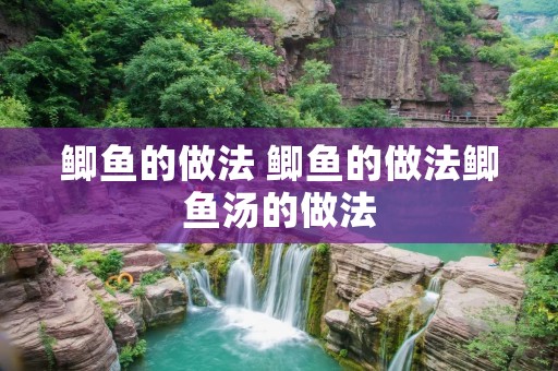 鲫鱼的做法 鲫鱼的做法鲫鱼汤的做法