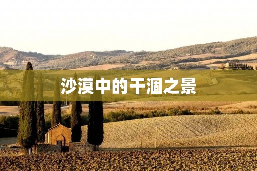 沙漠中的干涸之景