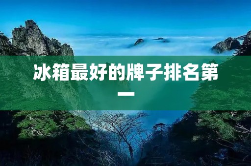 冰箱最好的牌子排名第一：精准保鲜，智能节能的松下冰箱
