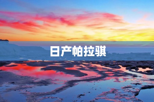 日产帕拉骐：革新科技与卓越性能的完美结合