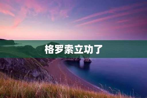 格罗索立功了:破解时代难题的勇者 格罗索立功了:破解时代难题的勇者