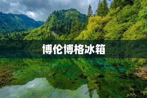 博伦博格冰箱:德国品质的代表 博伦博格冰箱:德国品质的代表