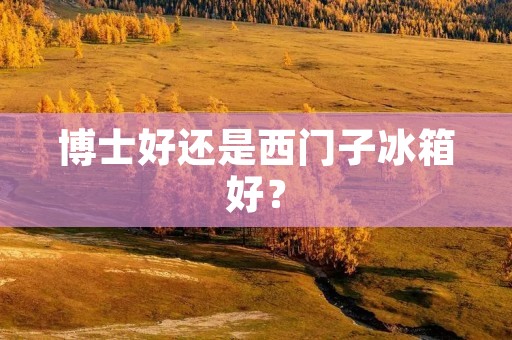 博士好还是西门子冰箱好？