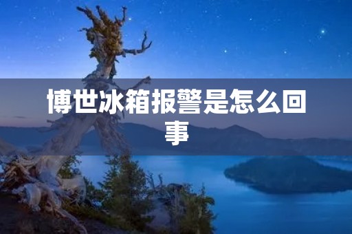 博世冰箱报警是怎么回事 博世冰箱报警是怎么回事