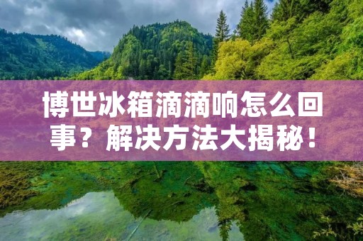 博世冰箱滴滴响怎么回事?解决方法大揭秘! 博世冰箱滴滴响怎么回事?解决方法大揭秘!
