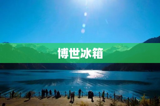 博世冰箱：高档品质与智能科技的完美结合